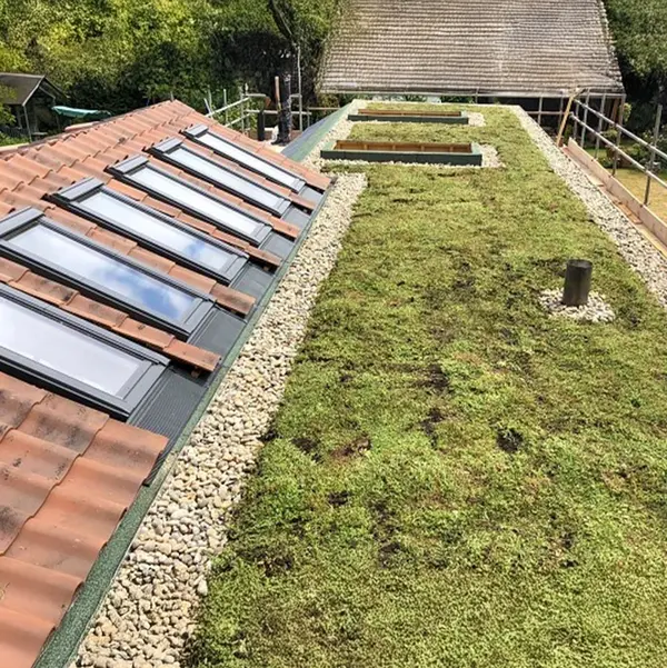 Green Roof