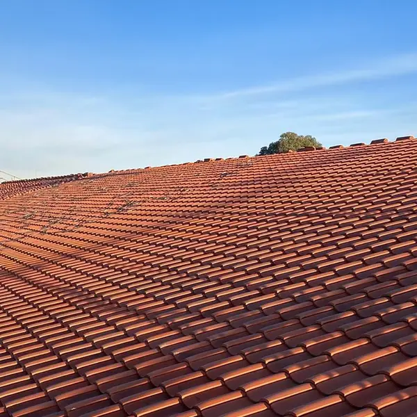 Clay roof tiles